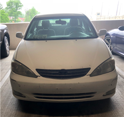 2018-06-19 08_21_20-8258_1.jpg (3024×4032)